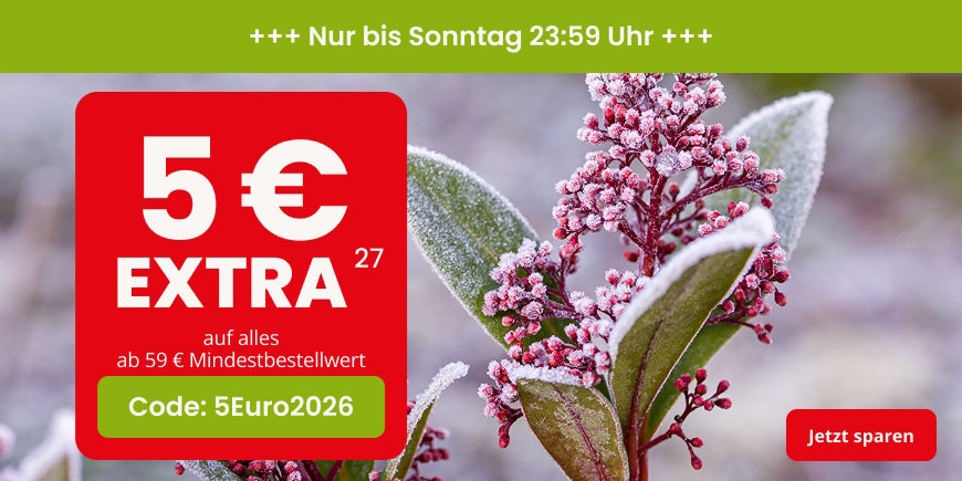5 € Extra-Rabatt ab 59 € mit dem Code: 5Euro2026. Nicht mit anderen Aktionsvorteilen kombinierbar und nicht anwendbar auf rezeptpflichtige Artikel, Bücher, Säuglingsanfangsnahrung und Versandkosten.